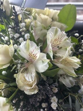 Meet your Posher, Riley